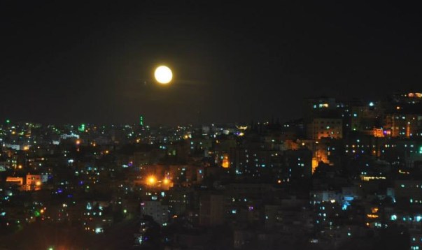 944769_10151507462001561_606956294_n