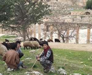 Young Shepherds look over their goats in Jerash, Jordan